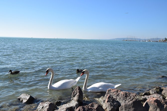 Private Lake Balaton Experience with an unforgettable Wine Tasting - What about lunch and breaks when it’s not included?