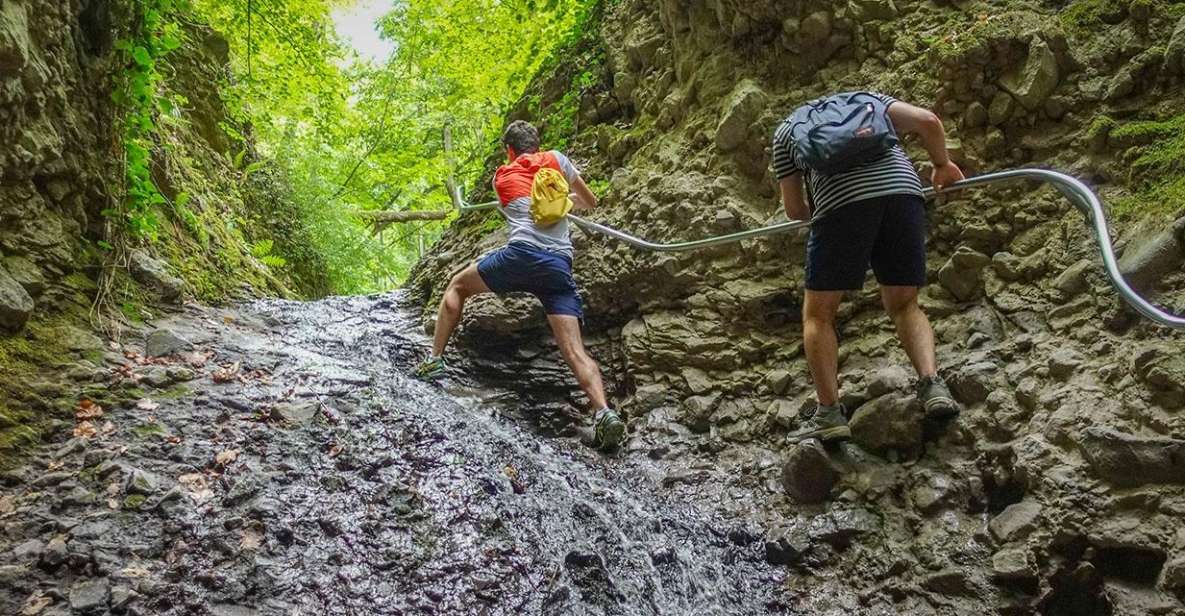 Ram Gorge Hiking Adventure - A gorge hike that trades city views for real trail work