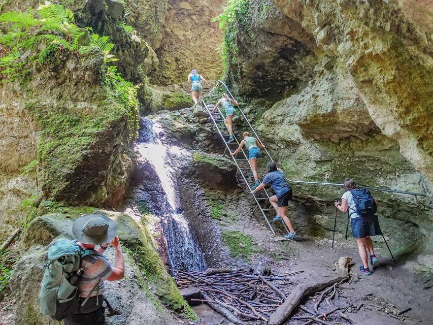 Ram Gorge Hiking Adventure - Into the Visegrád Mountains: old-growth shade and constant movement