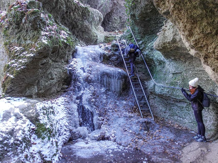 Ram Gorge Hiking Adventure - Wildlife and bird sounds: what to notice when you pause