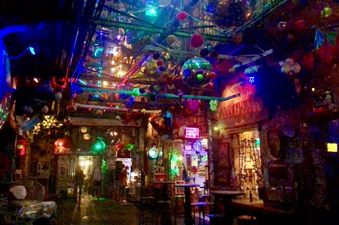 Ruin Pub Walking Tour with a Local Hostess in Budapest - A 5:00 pm ruin pub walk that starts with city bearings
