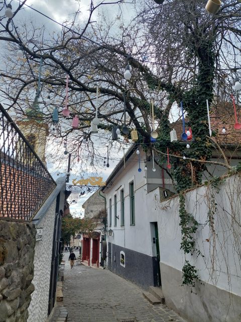 Szentendre: Half-Day Private Tour from Budapest - Walking the Baroque core: narrow streets, old materials, and art everywhere
