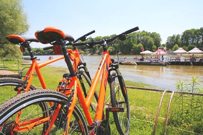 Szentendre: Self-guided Bicycle Tour with optional boat transfer - Margaret Island without car traffic: the car-free reset button