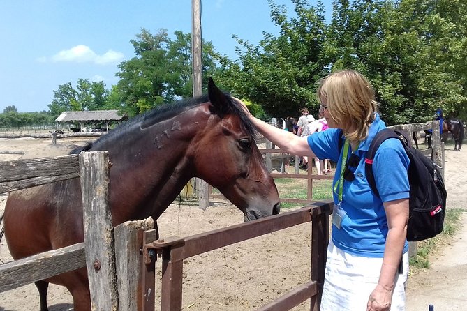 The "Puszta" Horse Show - Horseback Ride Add-On: A Fun Option If You Want More Than Watching