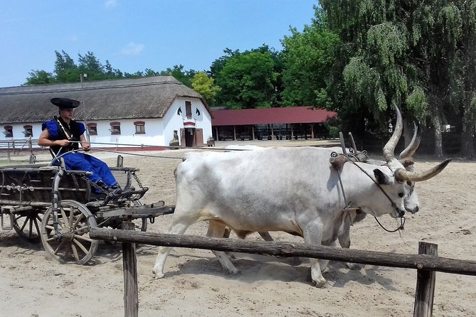 The "Puszta" Horse Show - Group Size, Timing, and Where the Day Feels Lightest