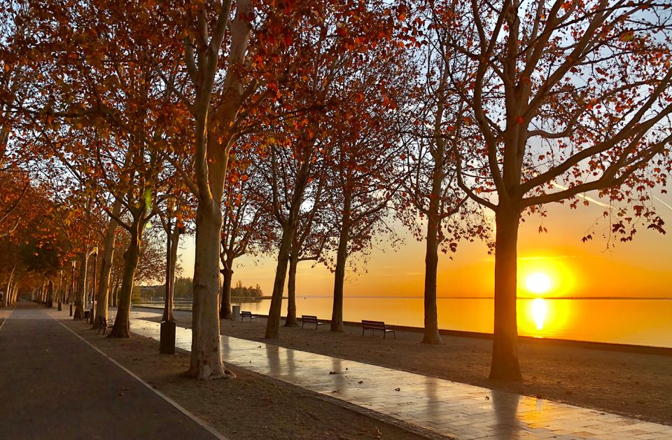 The Turquoise Sea of Hungary: Lake Balaton Private Tour - Lunch with a view (and what you’ll want to know first)