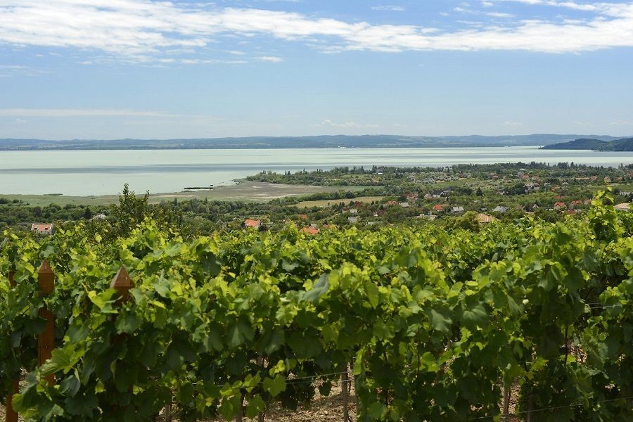 The Turquoise Sea of Hungary: Lake Balaton Private Tour - Why the guide makes a difference more than you think