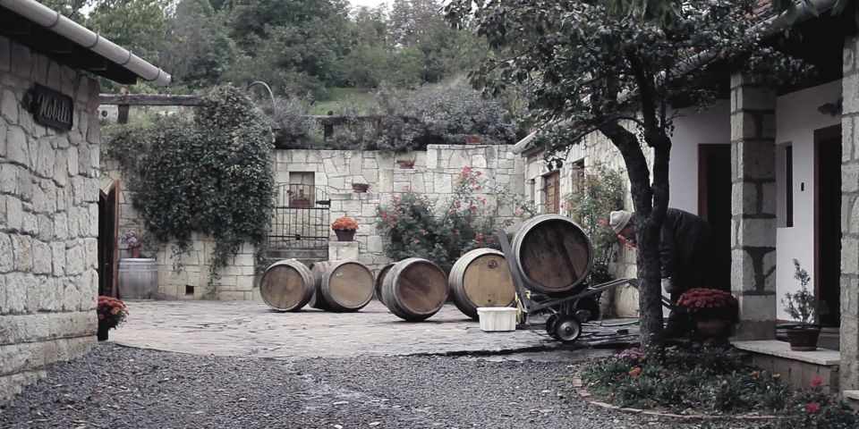 Tokaj Private Day Tour from Budapest - From Budapest to Tokaj: the schedule that shapes the whole experience