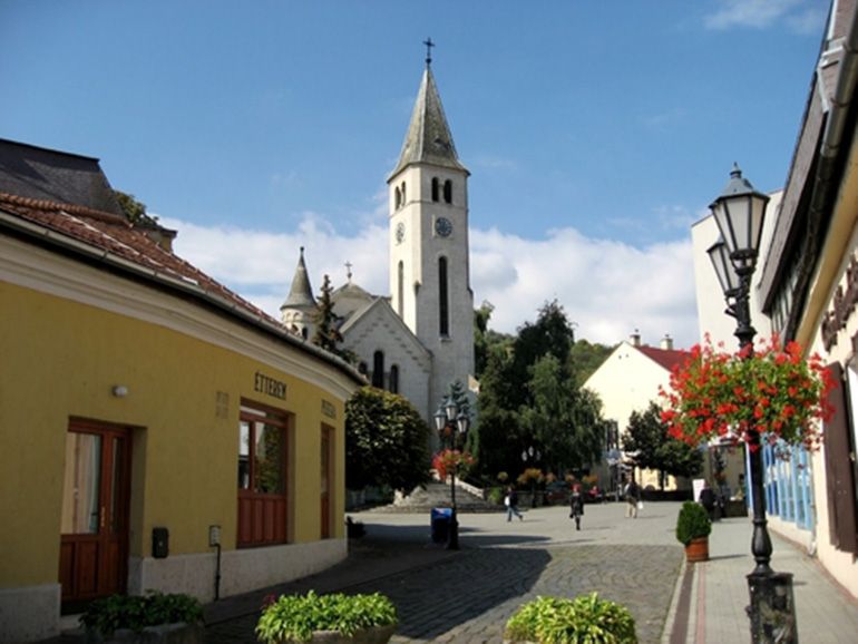 Tokaj Private Day Tour from Budapest - Who this tour is best for (and who might want something else)