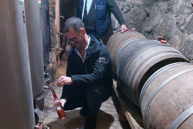 Wine Tasting in the Countryside from Budapest - Key highlights you’ll actually care about