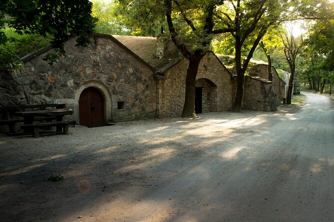 Wine Tasting in the Countryside from Budapest - The tasting rhythm: two wineries and a lot of learning