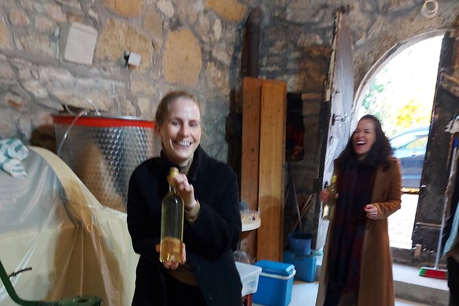 Wine Tasting in the Countryside from Budapest - The food pairings: Hungarian comfort with your wine
