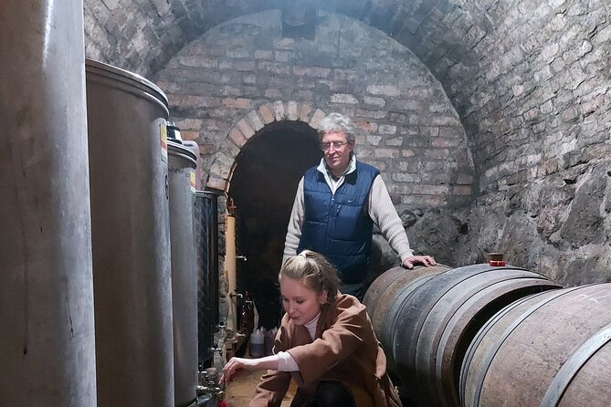 Wine Tasting in the Countryside from Budapest - Final call: should you book this wine tour from Budapest?